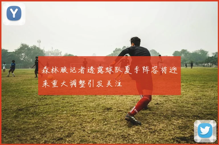 森林狼记者透露球队夏季阵容将迎来重大调整引发关注